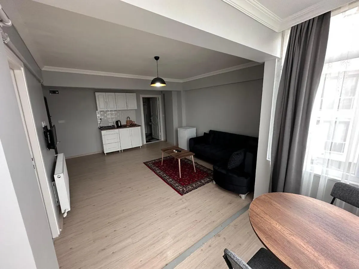 Апартаменты Modern Apart Close To Blue Mosque And Hagia Sophia Old City Стамбул