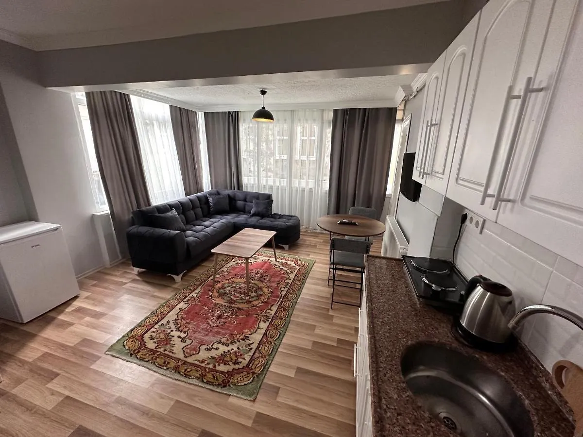 Апартаменты Modern Apart Close To Blue Mosque And Hagia Sophia Old City Стамбул
