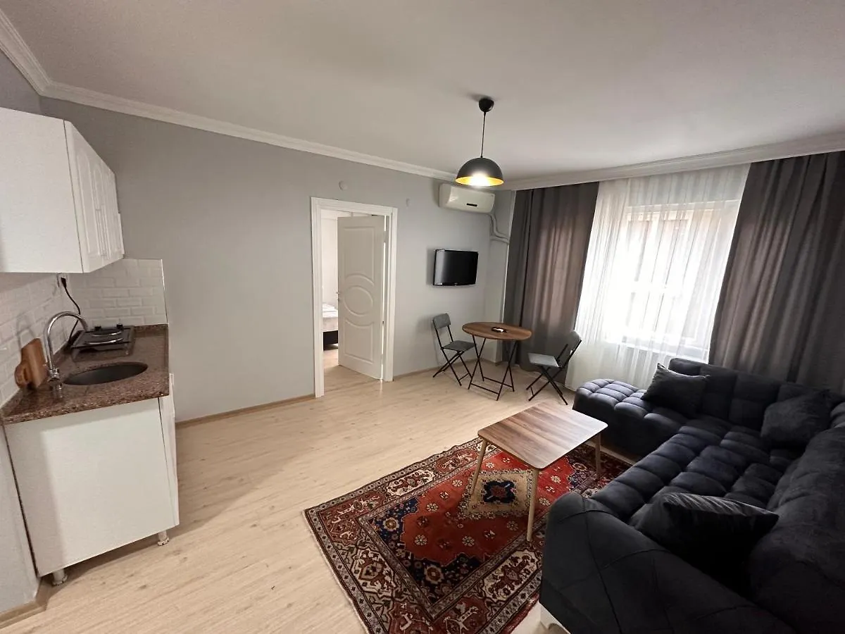 Апартаменты Modern Apart Close To Blue Mosque And Hagia Sophia Old City Стамбул Турция