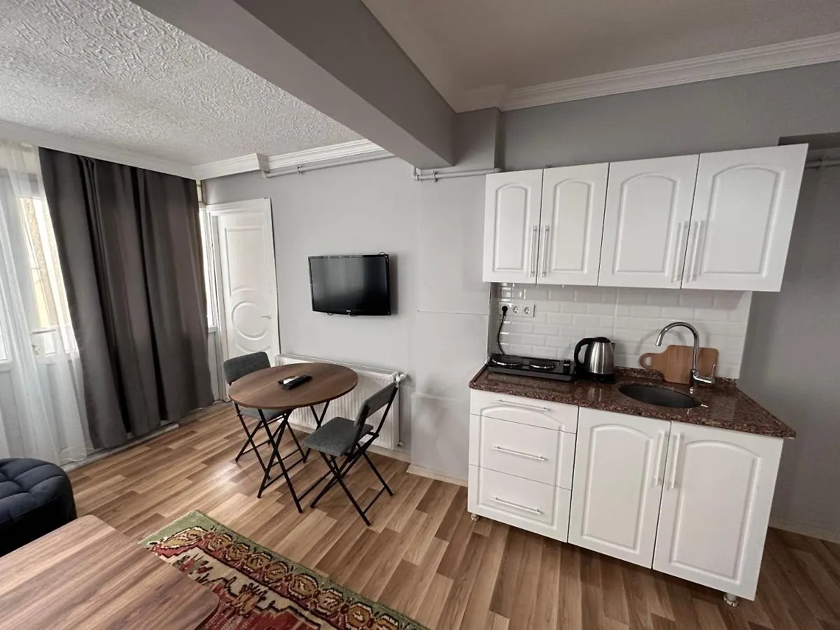 Modern Apart Close To Blue Mosque And Hagia Sophia Old City Стамбул