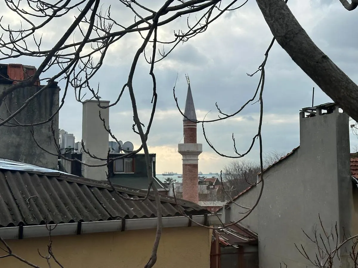 Modern Apart Close To Blue Mosque And Hagia Sophia Old City Istanbul Apartment